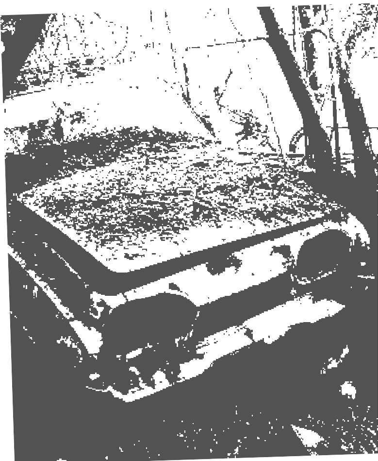 wp0bf76c39_0f.jpg