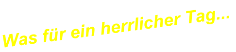 wp35dd66f7.png