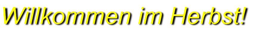 wp8ce068d1.png