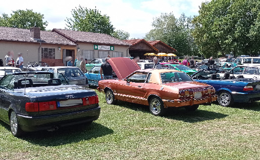 wp99a6aa09_0f.jpg