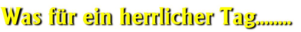 wpe3fdf6c4.png